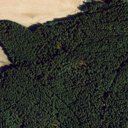 Satellite imagery of Mühlberg, DE