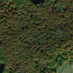 Satellite imagery of Holý [Češov], CZ