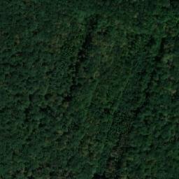 Satellite imagery of (Bašnický les) [Bašnice], CZ