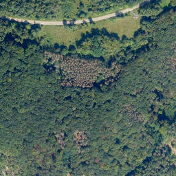 Satellite imagery of Höhr, DE