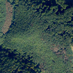 Satellite imagery of Kreuzstein, DE