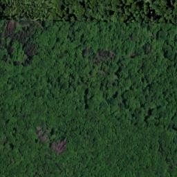 Satellite imagery of Straufhain, DE