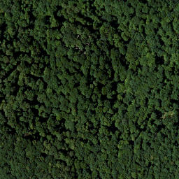 Satellite imagery of Straufhain, DE