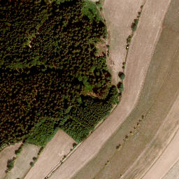 Satellite imagery of Wasserturm Birnbaum, DE