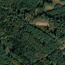 Satellite imagery of (Svatojiřský les) [Pěčice], CZ