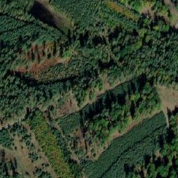 Satellite imagery of (Svatojiřský les) [Pěčice], CZ