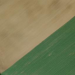 Satellite imagery of Bažantnice [Volanice], CZ