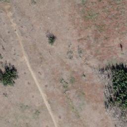 Satellite imagery of Mount Bob, CA