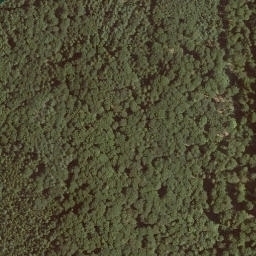 Satellite imagery of Schönau, DE