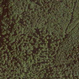 Satellite imagery of Schönau, DE