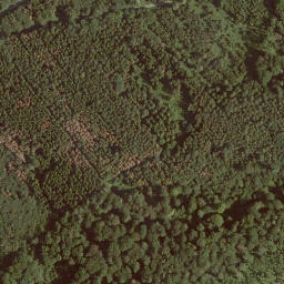 Satellite imagery of Betten, DE