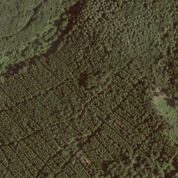 Satellite imagery of Zeilstein, DE