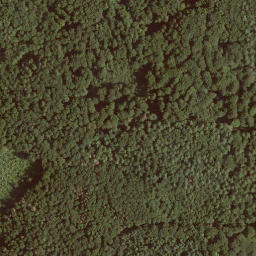 Satellite imagery of Zeilstein, DE