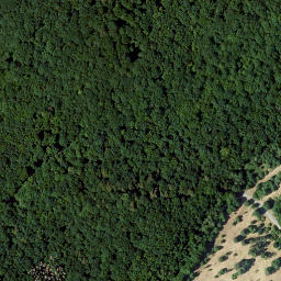 Satellite imagery of Straufhain, DE