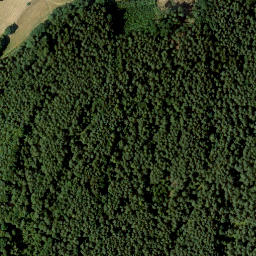Satellite imagery of Mittelberg, DE