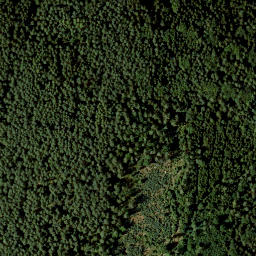 Satellite imagery of Mittelberg, DE