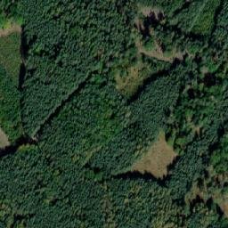 Satellite imagery of (Svatojiřský les) [Pěčice], CZ