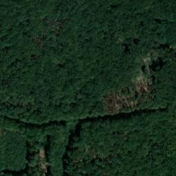 Satellite imagery of (Bašnický les) [Bašnice], CZ