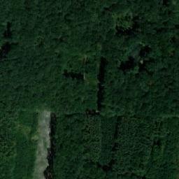 Satellite imagery of (Bašnický les) [Bašnice], CZ