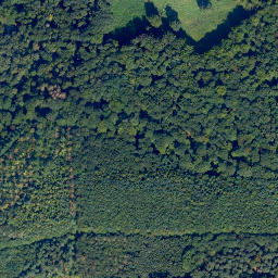 Satellite imagery of Horchheimer Höhe, DE