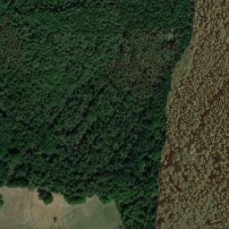 Satellite imagery of Schönau, DE