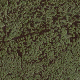 Satellite imagery of Schönau, DE