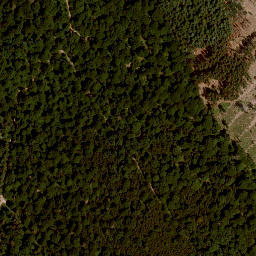 Satellite imagery of Höhberg, DE