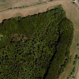 Satellite imagery of Steinhag, DE