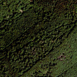 Satellite imagery of Hohe Wart, DE