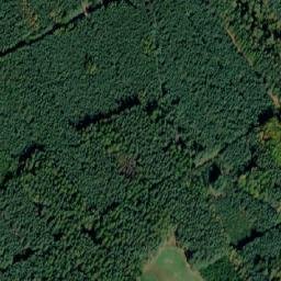 Satellite imagery of (Svatojiřský les) [Pěčice], CZ