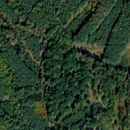 Satellite imagery of (Svatojiřský les) [Pěčice], CZ