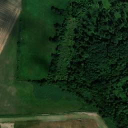 Satellite imagery of (V Pustých) [Račice nad Trotinou], CZ