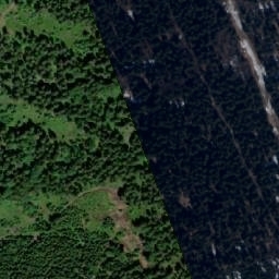 Satellite imagery of Šerlich [Sedloňov], CZ