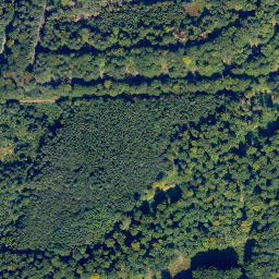 Satellite imagery of Horchheimer Höhe, DE