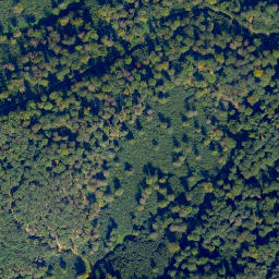 Satellite imagery of Eisenkauten, DE