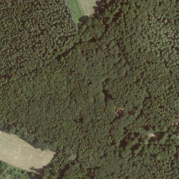 Satellite imagery of Schönau, DE