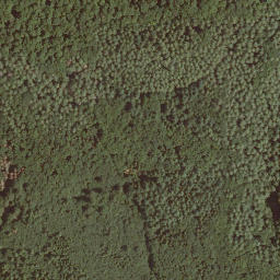 Satellite imagery of Schönau, DE