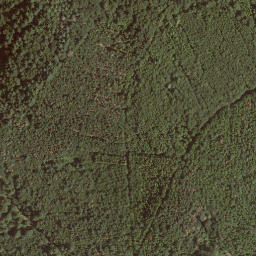Satellite imagery of Zeilstein, DE