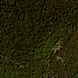 Satellite imagery of Höhberg, DE