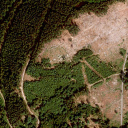 Satellite imagery of Schaufelberg, DE