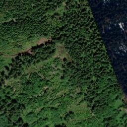 Satellite imagery of Šerlich SE [Deštné v Orlických horách], CZ