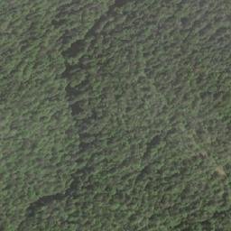 Satellite imagery of Carter Peak, CA