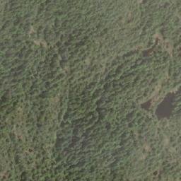 Satellite imagery of Carter Peak, CA