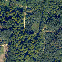 Satellite imagery of Horchheimer Höhe, DE
