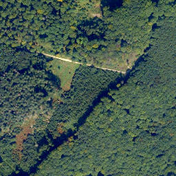 Satellite imagery of Horchheimer Höhe, DE