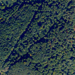Satellite imagery of Eisenkauten, DE