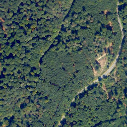 Satellite imagery of Eisenkauten, DE