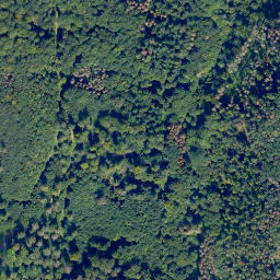 Satellite imagery of Eisenkauten, DE