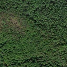 Satellite imagery of Stoppelsberg, DE