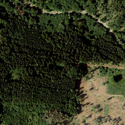 Satellite imagery of Lauterberg, DE